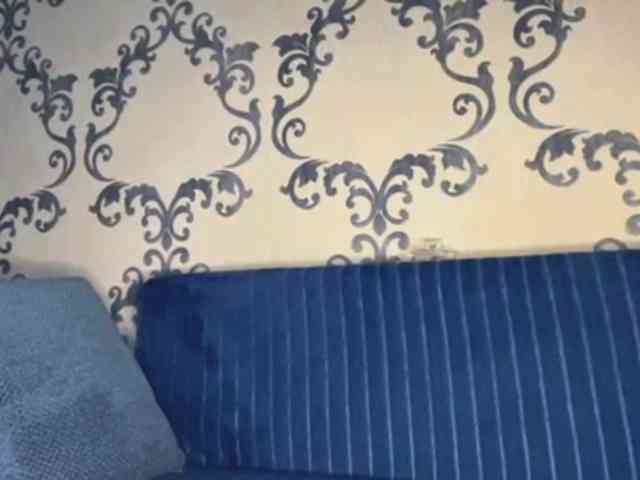 DelphaDiop webcam