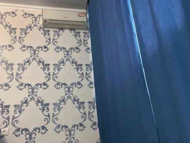 DelphaDiop webcam
