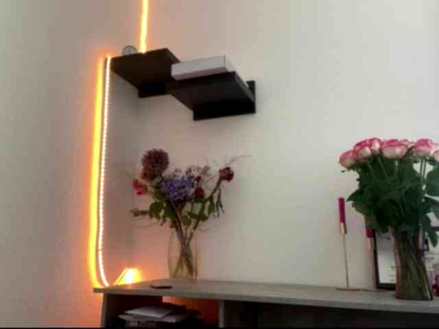 SunStrike webcam