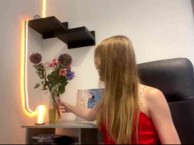 SunStrike webcam