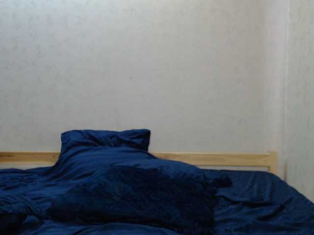 Belka-and-Strelka live webcam show