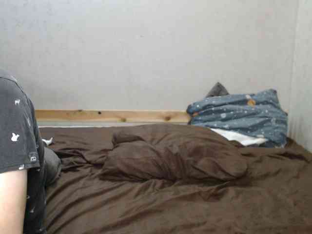 Belka-and-Strelka webcam