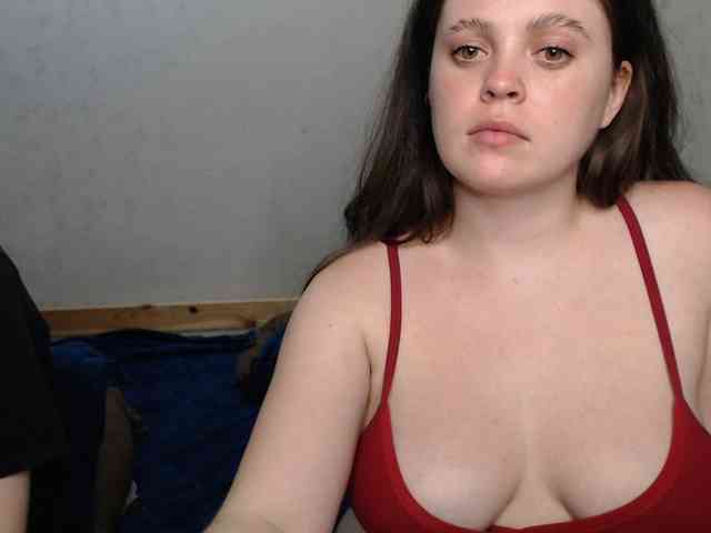 Belka-and-Strelka webcam
