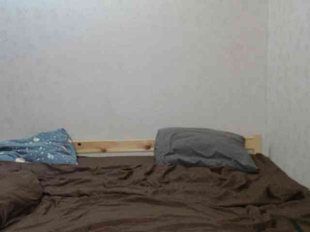 Belka-and-Strelka webcam