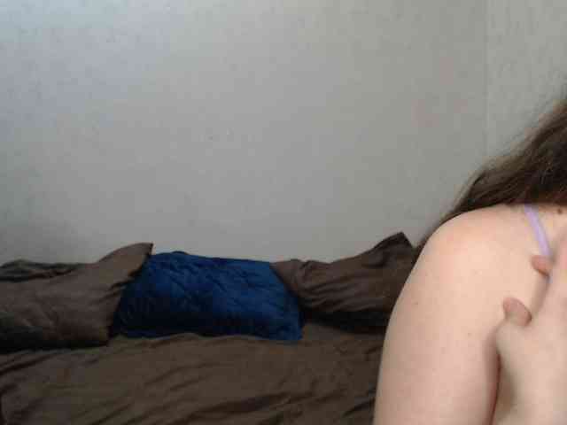 Belka-and-Strelka webcam