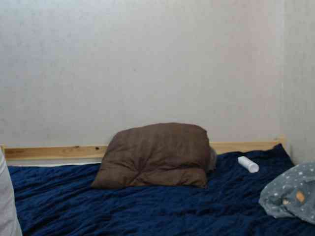 Belka-and-Strelka webcam
