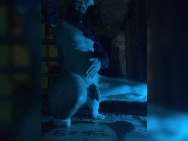 SHARANAGATI live webcam show