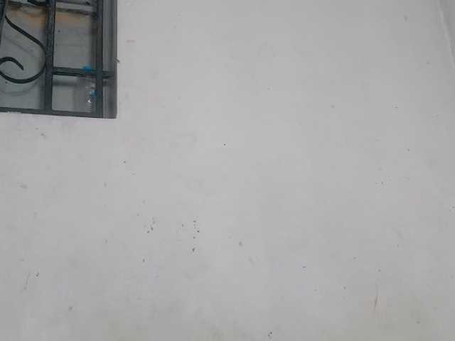 Claudiaah live cam on BongaCams