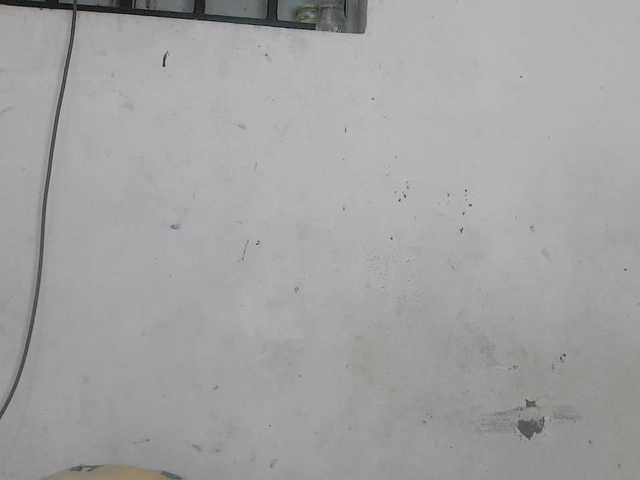Claudiaah live cam on BongaCams