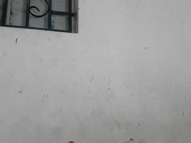 Claudiaah live cam on BongaCams