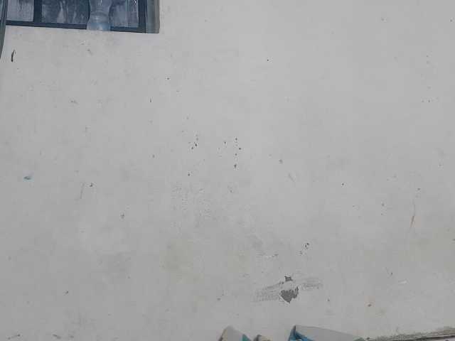 Claudiaah live cam on BongaCams