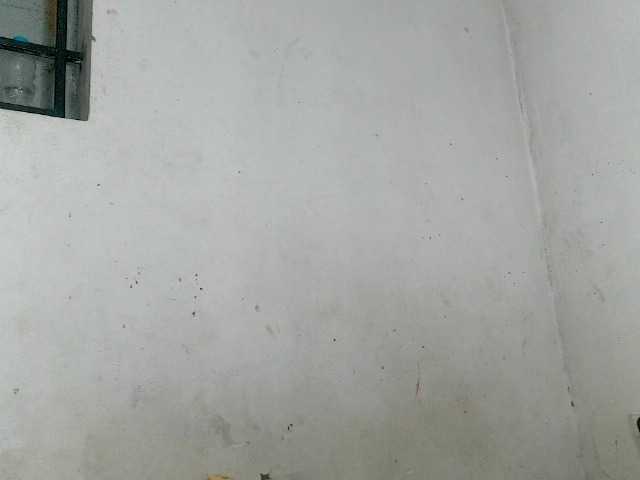 Claudiaah live cam on BongaCams