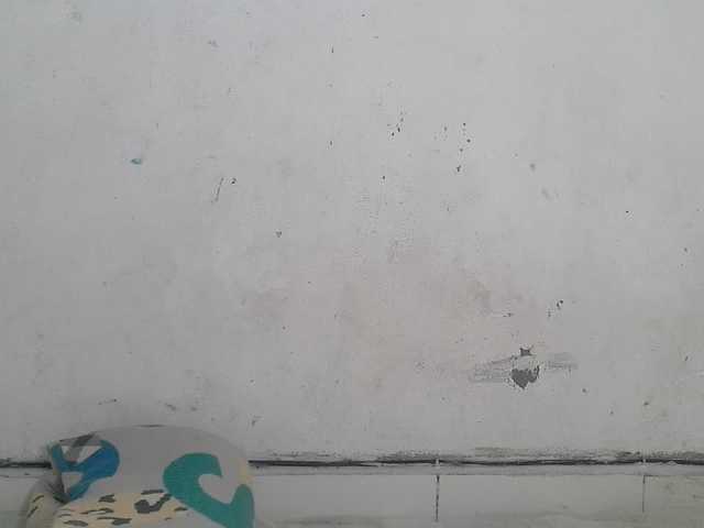 Claudiaah live cam on BongaCams