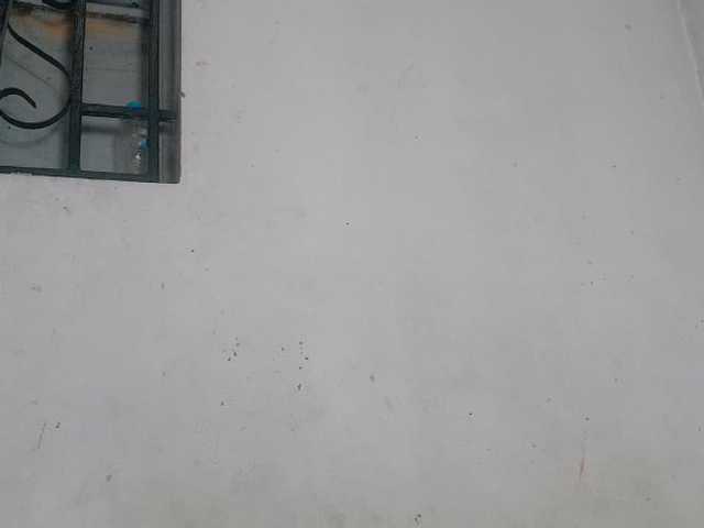Claudiaah live cam on BongaCams