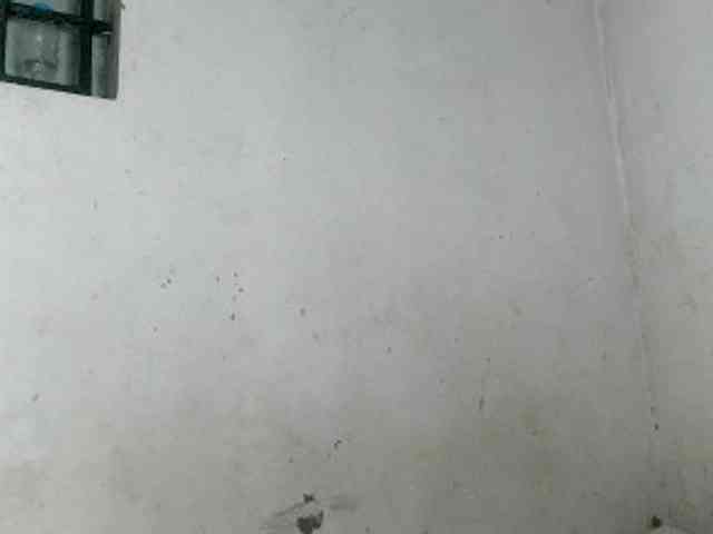 Claudiaah Claudiaah