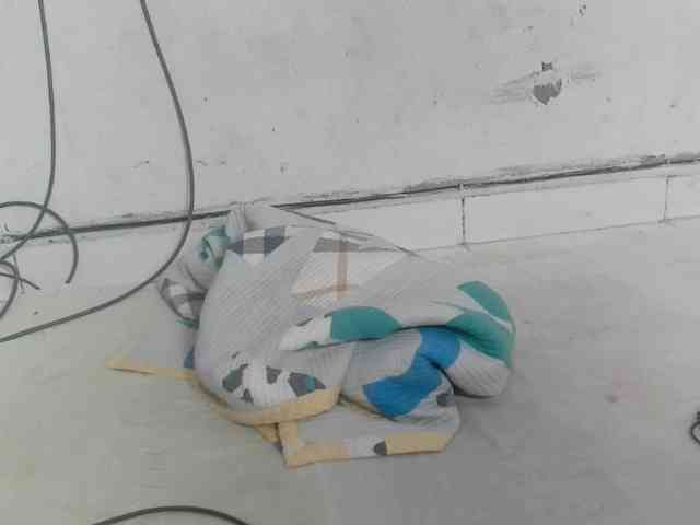 Claudiaah webcam
