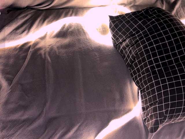 AngelinaFlorido live cam on BongaCams