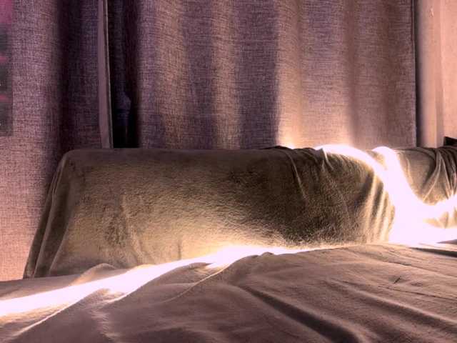 AngelinaFlorido live cam on BongaCams