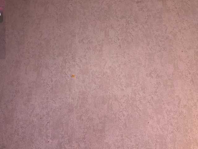 AngelinaFlorido live cam on BongaCams