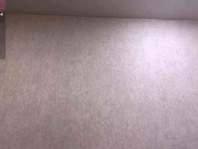 AngelinaFlorido webcam