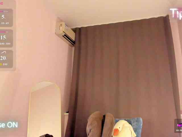 Fanfik-1 webcam