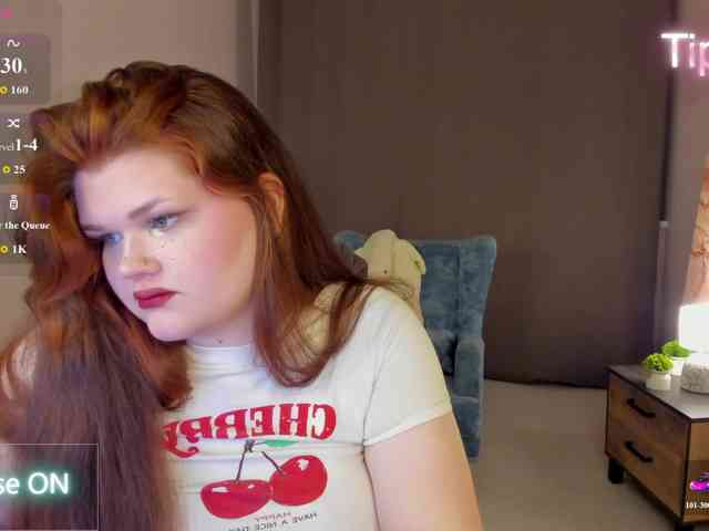 Fanfik-1 webcam