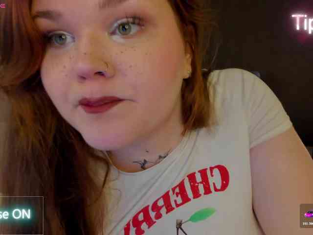Fanfik-1 webcam