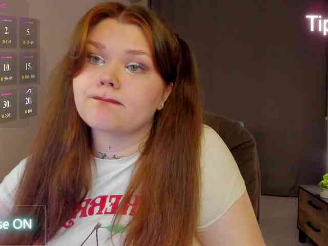Fanfik-1 webcam