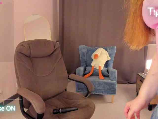 Fanfik-1 webcam