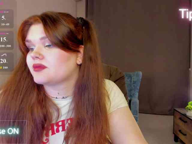 Fanfik-1 webcam