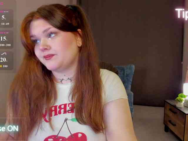 Fanfik-1 webcam