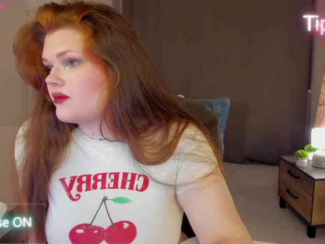 Fanfik-1 webcam