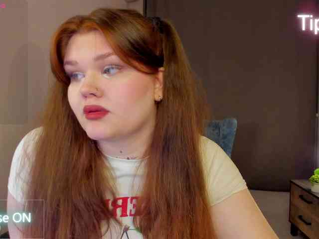 Fanfik-1 webcam