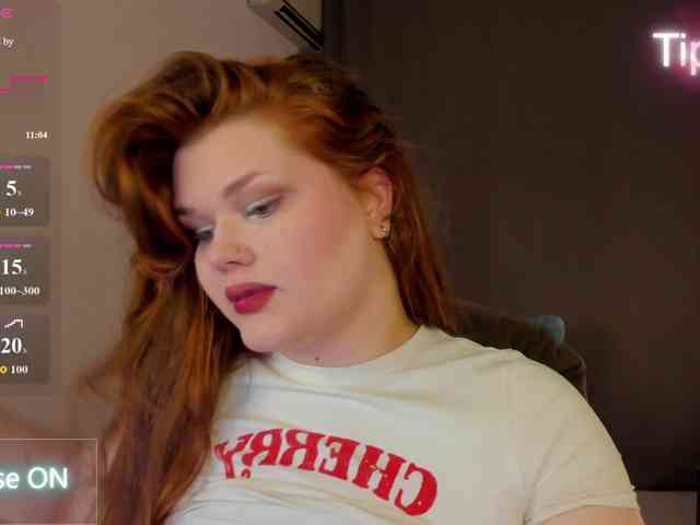 Fanfik-1 webcam