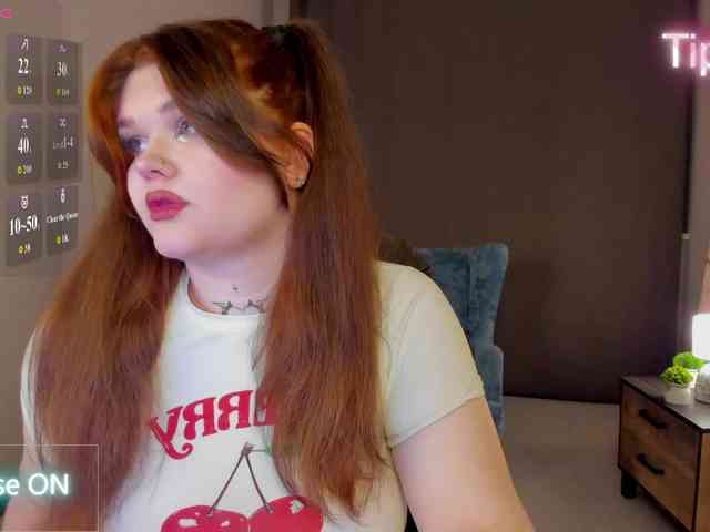 Fanfik-1 webcam