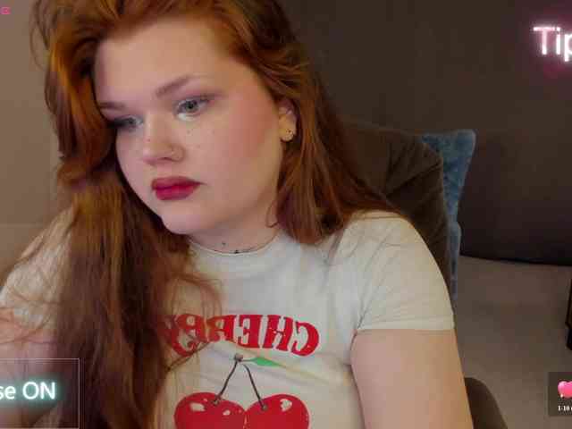 Fanfik-1 webcam