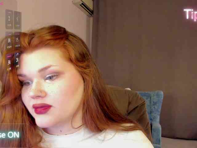 Fanfik-1 webcam