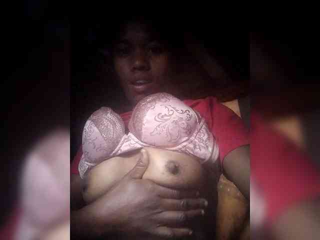Skaylahnice webcam