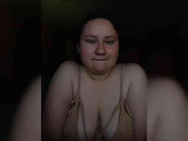Meow-18-1 webcam