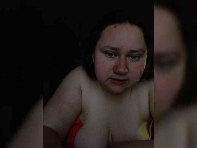 Meow-18-1 webcam