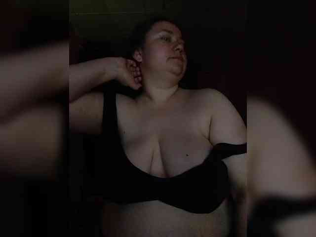 Meow-18-1 webcam