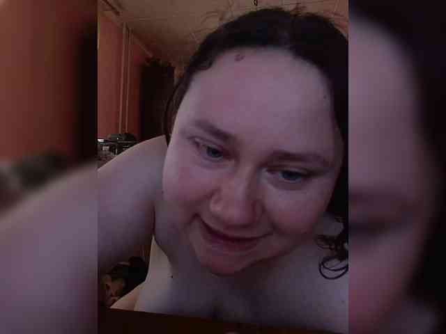Meow-18-1 webcam