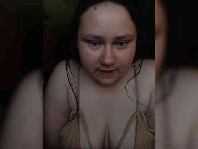 Meow-18-1 webcam