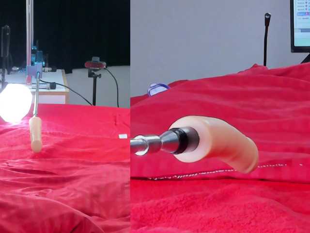 Ely-foxy live cam on BongaCams