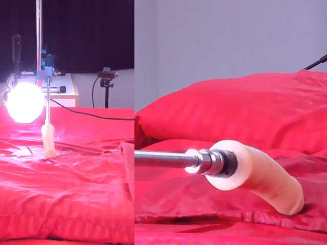 Ely-foxy live cam on BongaCams