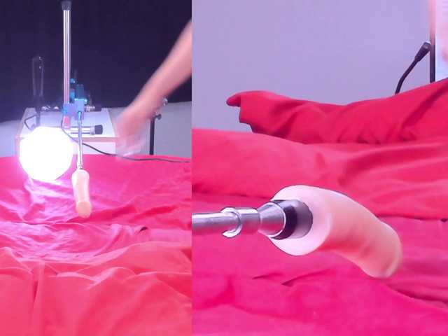 Ely-foxy live cam on BongaCams