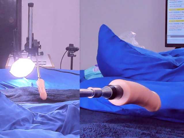Ely-foxy live cam on BongaCams
