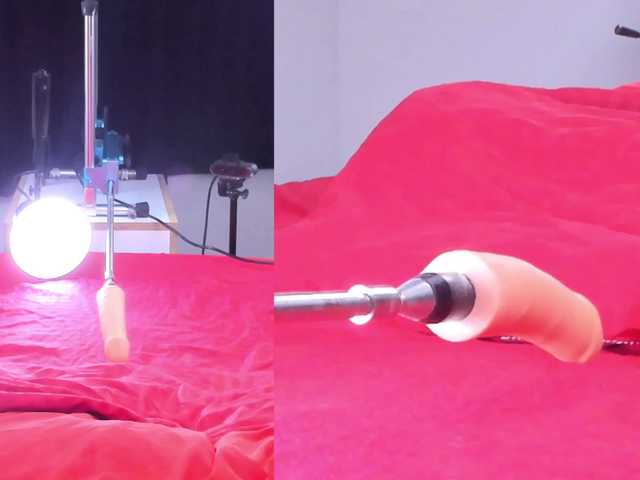Ely-foxy live cam on BongaCams