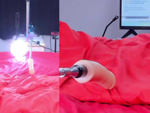 Ely-foxy live cam on BongaCams