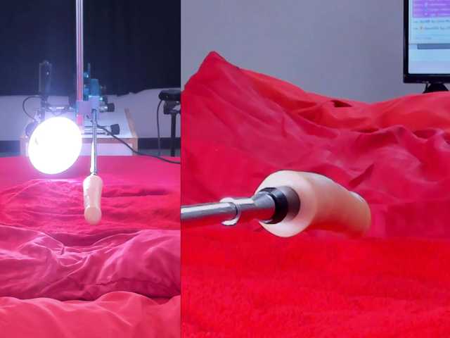 Ely-foxy live cam on BongaCams